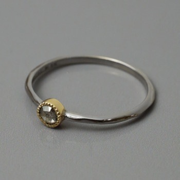 1901-AR1006 졼
